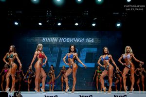 BIKINI НОВИЧКИ 164